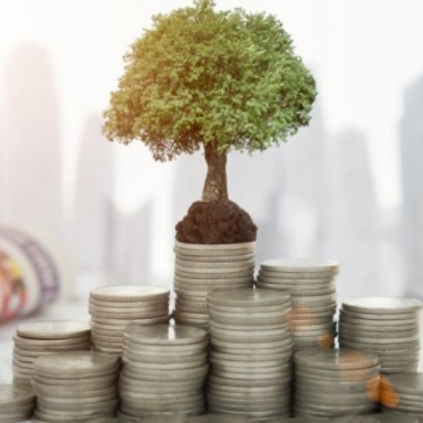 FNGCIMM: Infiintare nou Fond de Capital de Risc pentru Rezilienta Economica